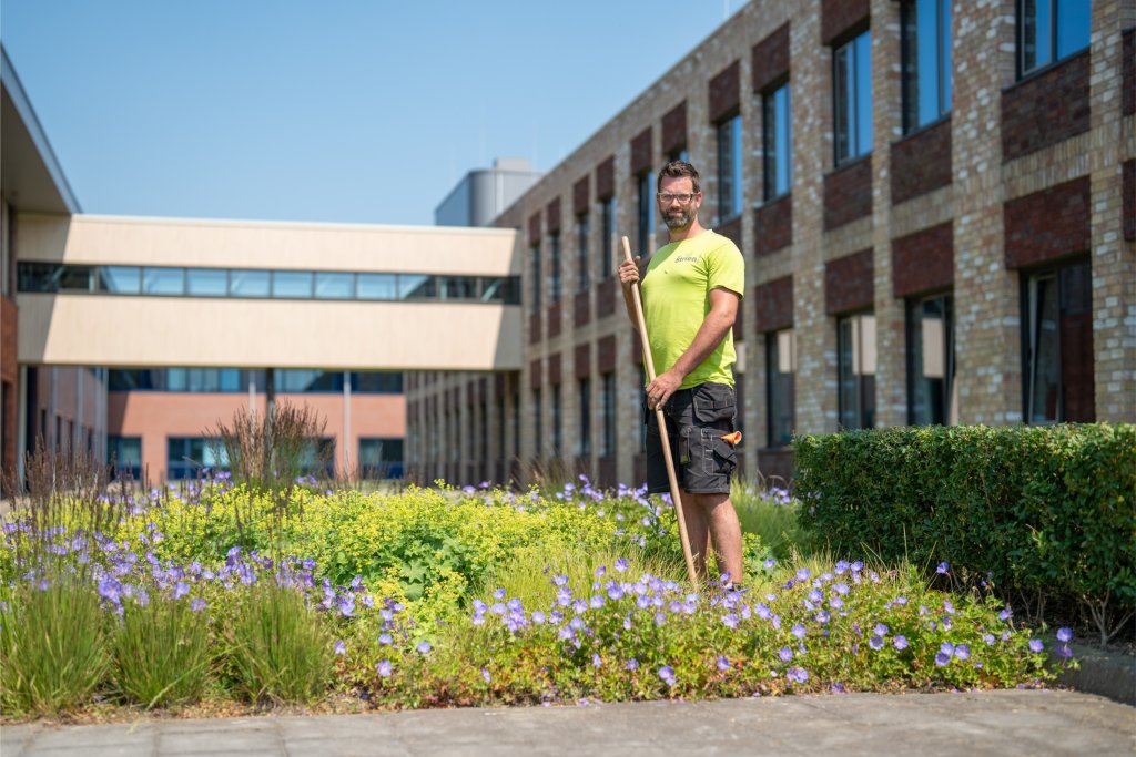 Hovenier in Fijnaart Van Strien Hovenier in Oudenbosch Hovenier in Oud Gastel Hovenier in Klundert Hovenier in Zevenbergen Hovenier in Standdaarbuiten hovenier steenbergen